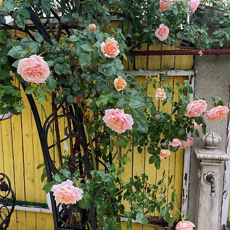 Luxurious Villa With Lush Garden And Huge Terrace Near Herastrau Park Бухарест Экстерьер фото